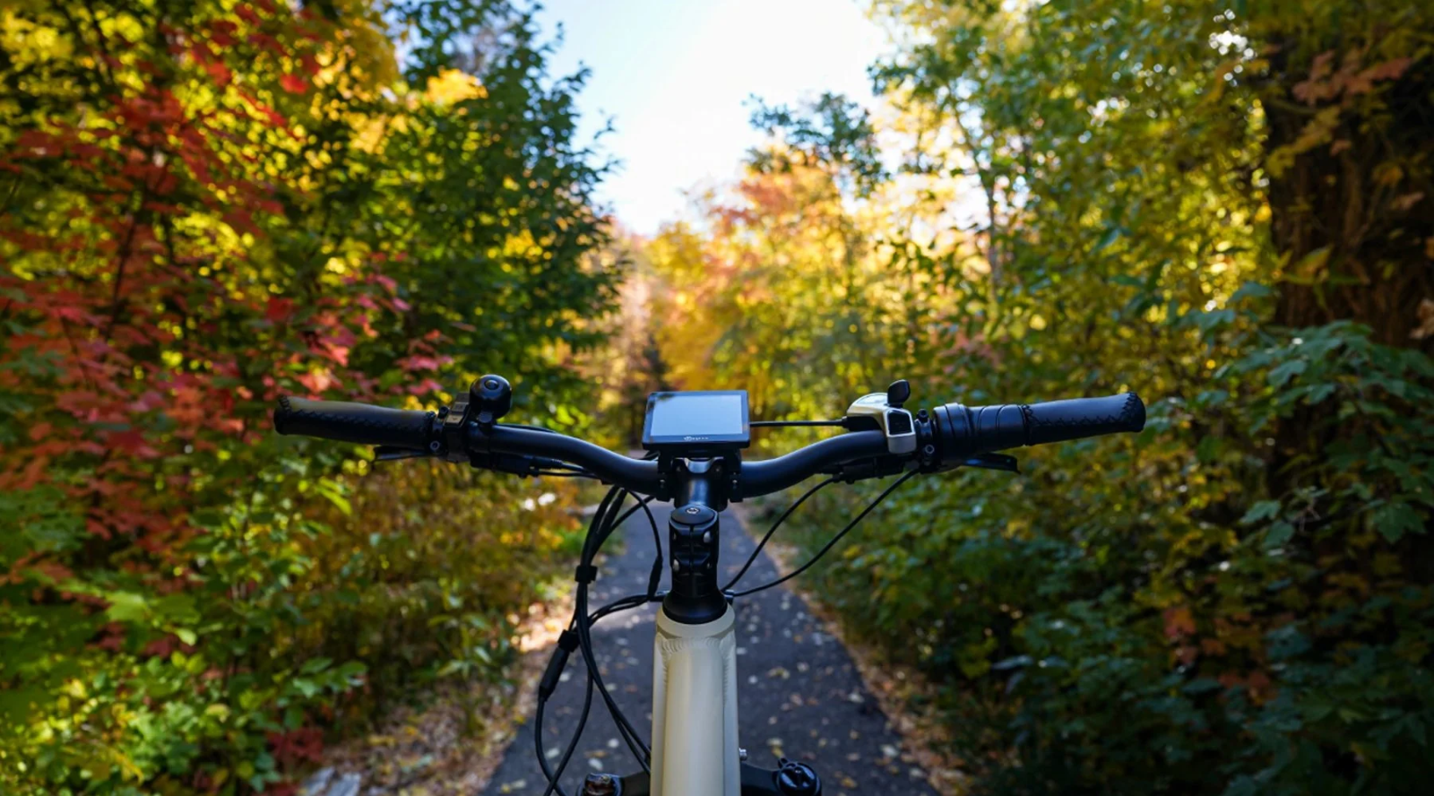 View of trail from a bike